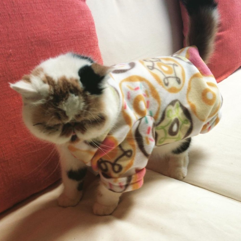 Donut Doughnut print dog cat pet pajamas